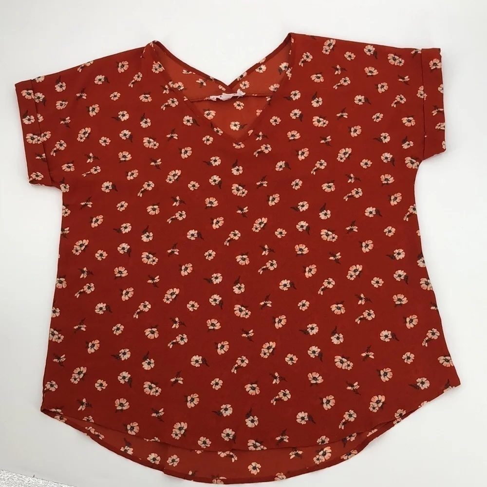 Pink Rose Semi Sheer Short Sleeved Floral Print V-Neck Blouse Size XL